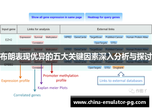布朗表现优异的五大关键因素深入分析与探讨 布朗表现优异的五大关键因素深入分析与探讨